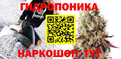 прущие грибы Пенза