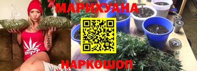 прущие грибы Пенза