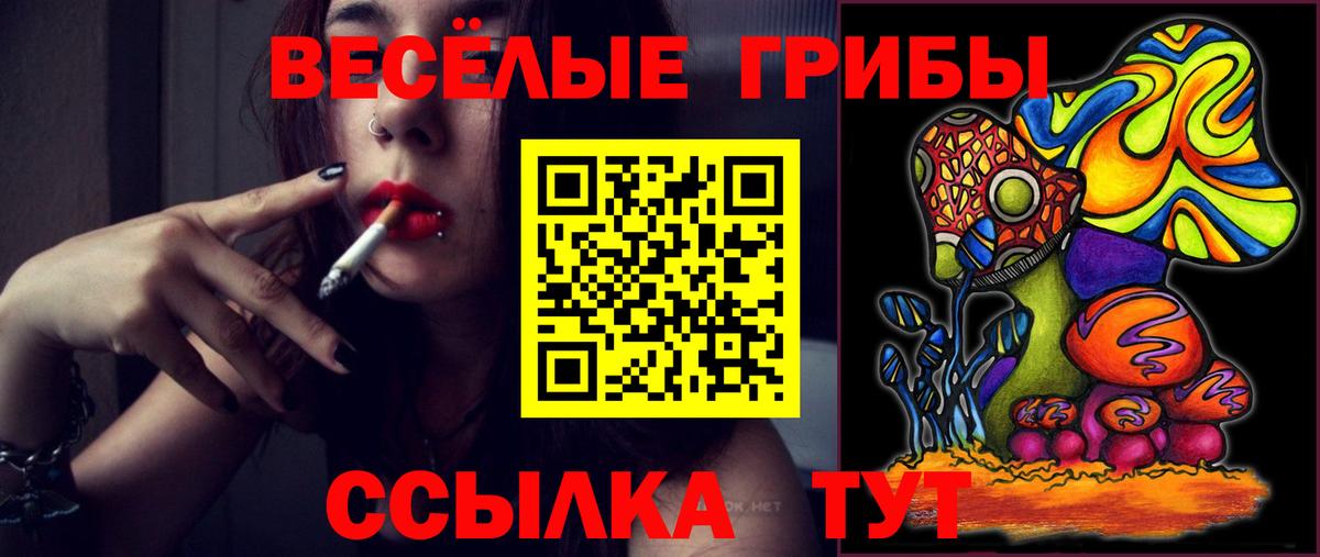 Галлюциногенные грибы ЛСД Обь