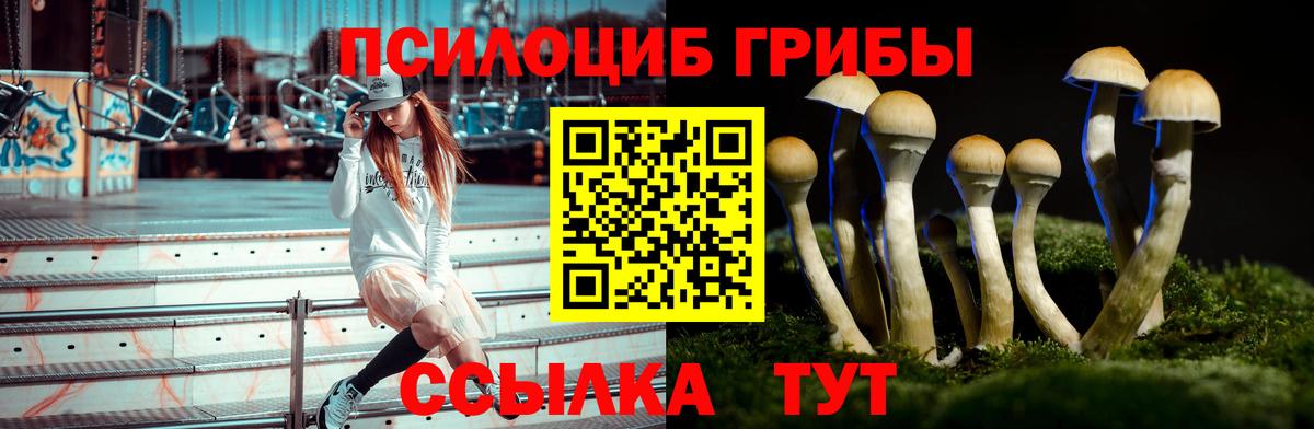 Обь  Псилоцибиновые грибы GOLDEN TEACHER  Вход с VPN  Галлюциногенные грибы мицелий 